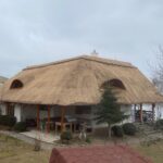 IMG_0033